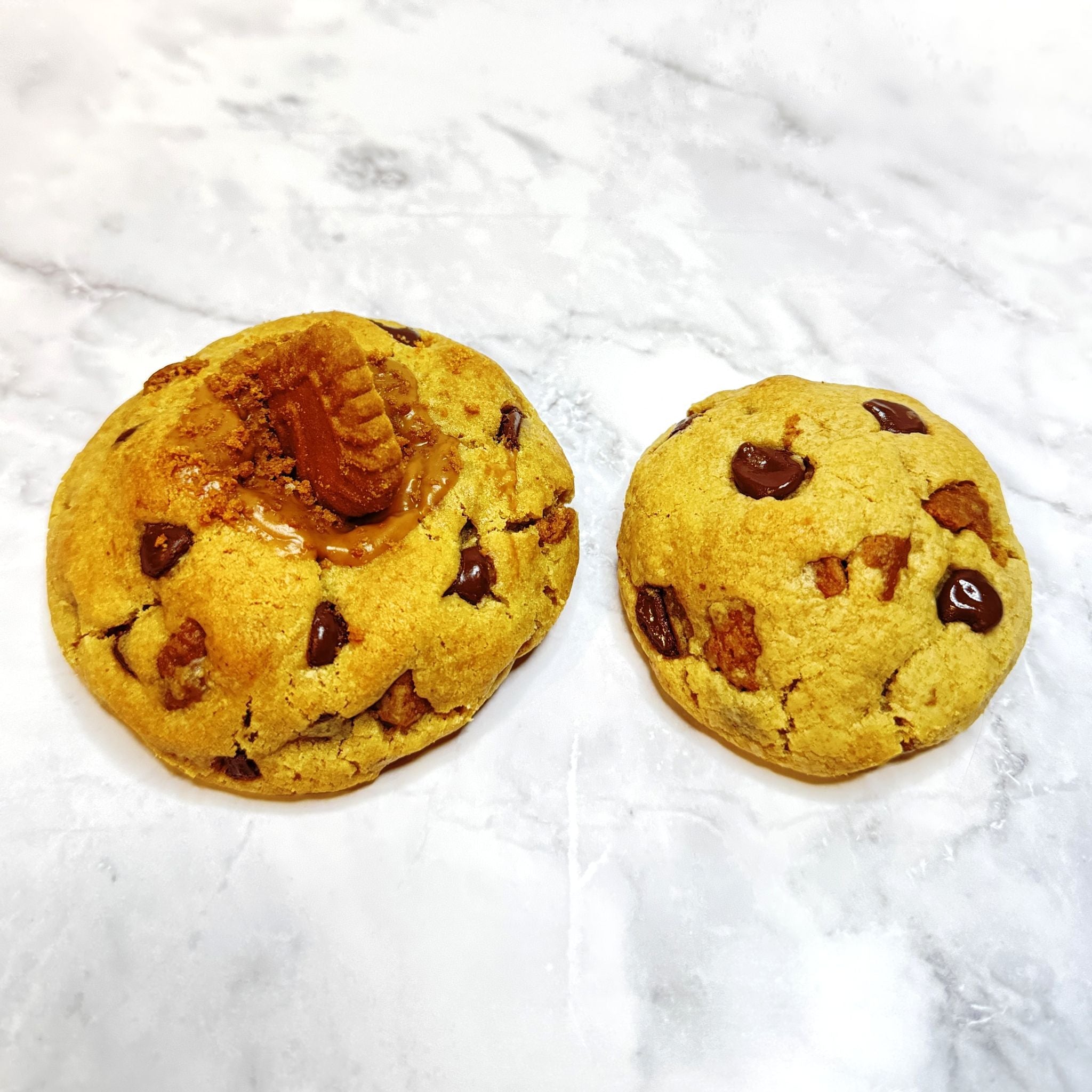 Amber Dusk Cookies: petit (3oz) next to regular (5.3oz) for size comparison on a marble countertop.